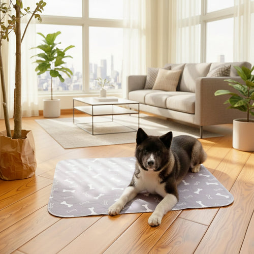 KovarPets Pup Pad