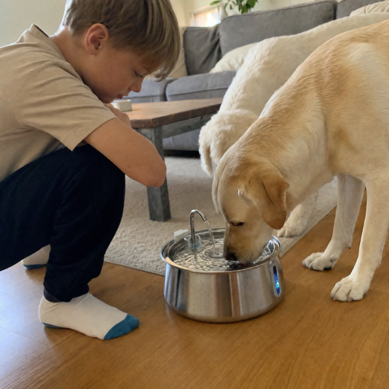 Kind beobachtet den Hund am Trinkbrunnen