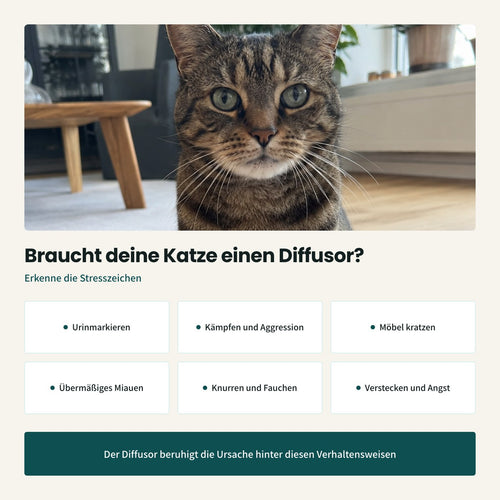 Anti-Markier-Diffusor für Kater