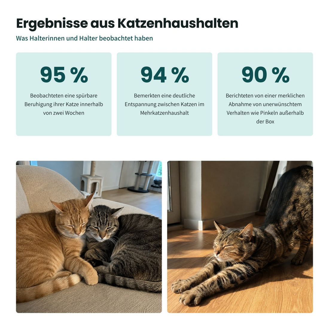 Ergebnisse aus Katzenhaushalten