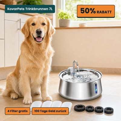 KovarPets Trinkbrunnen 7 Liter mit großem Hund in der Küche