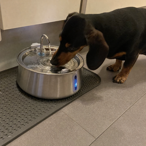 KovarPets Trinkbrunnen 4L
