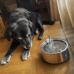 KovarPets Trinkbrunnen 4L